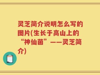 灵芝简介说明怎么写的图片(生长于高山上的“神仙菌”——灵芝简介)