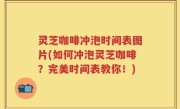 灵芝咖啡冲泡时间表图片(如何冲泡灵芝咖啡？完美时间表教你！)