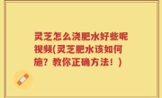 灵芝怎么浇肥水好些呢视频(灵芝肥水该如何施？教你正确方法！)