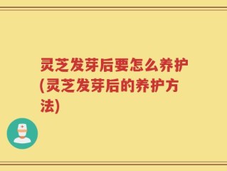 灵芝发芽后要怎么养护(灵芝发芽后的养护方法)