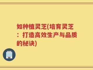 如种植灵芝(培育灵芝：打造高效生产与品质的秘诀)