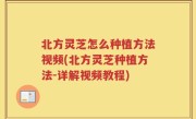 北方灵芝怎么种植方法视频(北方灵芝种植方法-详解视频教程)