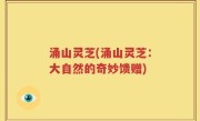 涌山灵芝(涌山灵芝：大自然的奇妙馈赠)