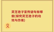 灵芝孢子宣传语句有哪些(探究灵芝孢子的功效与作用)