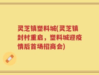 灵芝镇塑料城(灵芝镇封村重启，塑料城迎疫情后首场招商会)