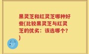 黑灵芝和红灵芝哪种好些(比较黑灵芝与红灵芝的优劣：该选哪个？)
