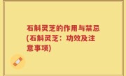 石斛灵芝的作用与禁忌(石斛灵芝：功效及注意事项)