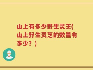 山上有多少野生灵芝(山上野生灵芝的数量有多少？)