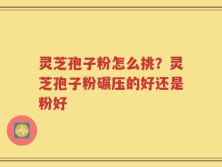 灵芝孢子粉怎么挑？灵芝孢子粉碾压的好还是粉好