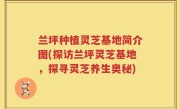 兰坪种植灵芝基地简介图(探访兰坪灵芝基地，探寻灵芝养生奥秘)