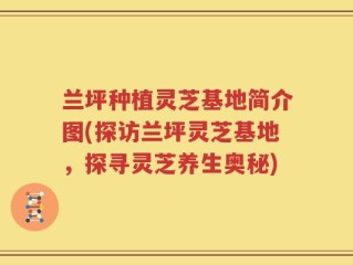 兰坪种植灵芝基地简介图(探访兰坪灵芝基地，探寻灵芝养生奥秘)