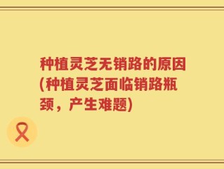 种植灵芝无销路的原因(种植灵芝面临销路瓶颈，产生难题)