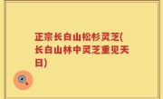 正宗长白山松杉灵芝(长白山林中灵芝重见天日)