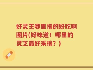 好灵芝哪里摘的好吃啊图片(好味道！哪里的灵芝最好采摘？)