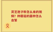 灵芝孢子粉怎么来的视频？种蘑菇的菌种怎么自繁