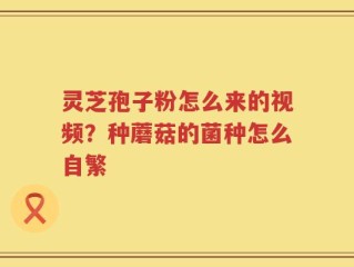 灵芝孢子粉怎么来的视频？种蘑菇的菌种怎么自繁