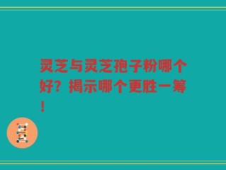灵芝与灵芝孢子粉哪个好？揭示哪个更胜一筹！