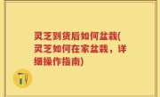 灵芝到货后如何盆栽(灵芝如何在家盆栽，详细操作指南)