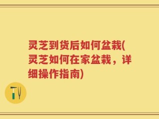 灵芝到货后如何盆栽(灵芝如何在家盆栽，详细操作指南)