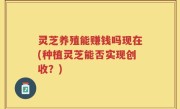 灵芝养殖能赚钱吗现在(种植灵芝能否实现创收？)