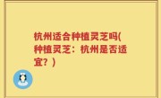 杭州适合种植灵芝吗(种植灵芝：杭州是否适宜？)