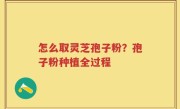 怎么取灵芝孢子粉？孢子粉种植全过程