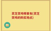 灵芝煲鸡哪里有(灵芝煲鸡的购买地点)
