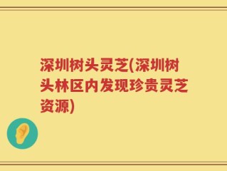 深圳树头灵芝(深圳树头林区内发现珍贵灵芝资源)