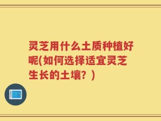 灵芝用什么土质种植好呢(如何选择适宜灵芝生长的土壤？)