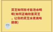 灵芝如何放才能泡水喝呢(如何正确放置灵芝，让你的灵芝水更美味健康)