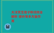 大汉灵芝孢子粉功效全解析 提升等多方面作用