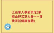 上山采人参彩灵芝(采摘山野灵芝人参——寻找天然健康宝藏)