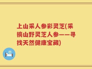 上山采人参彩灵芝(采摘山野灵芝人参——寻找天然健康宝藏)