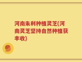 河南朱利种植灵芝(河南灵芝坚持自然种植获丰收)