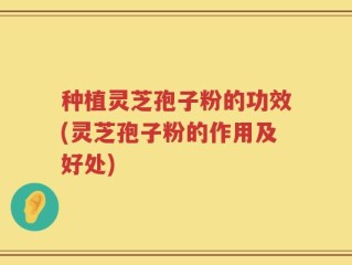 种植灵芝孢子粉的功效(灵芝孢子粉的作用及好处)