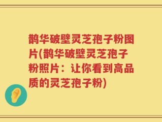 鹊华破壁灵芝孢子粉图片(鹊华破壁灵芝孢子粉照片：让你看到高品质的灵芝孢子粉)