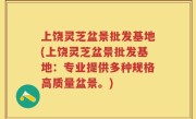 上饶灵芝盆景批发基地(上饶灵芝盆景批发基地：专业提供多种规格高质量盆景。)