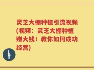 灵芝大棚种植引流视频(视频：灵芝大棚种植赚大钱！教你如何成功经营)
