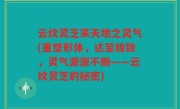 云纹灵芝采天地之灵气(重塑形体，达至极致，灵气源源不断——云纹灵芝的秘密)