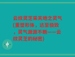 云纹灵芝采天地之灵气(重塑形体，达至极致，灵气源源不断——云纹灵芝的秘密)