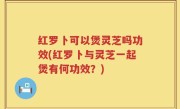 红罗卜可以煲灵芝吗功效(红罗卜与灵芝一起煲有何功效？)