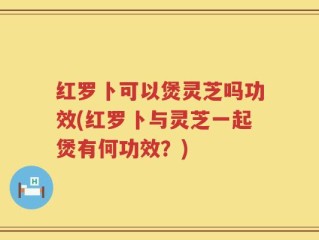 红罗卜可以煲灵芝吗功效(红罗卜与灵芝一起煲有何功效？)