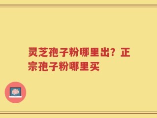 灵芝孢子粉哪里出？正宗孢子粉哪里买