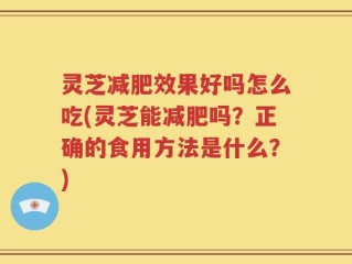 灵芝减肥效果好吗怎么吃(灵芝能减肥吗？正确的食用方法是什么？)