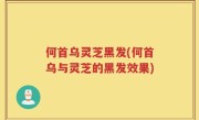 何首乌灵芝黑发(何首乌与灵芝的黑发效果)