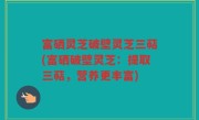 富硒灵芝破壁灵芝三萜(富硒破壁灵芝：提取三萜，营养更丰富)