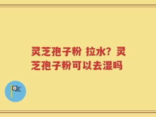 灵芝孢子粉 拉水？灵芝孢子粉可以去湿吗