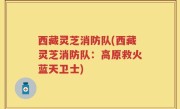西藏灵芝消防队(西藏灵芝消防队：高原救火蓝天卫士)
