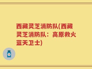 西藏灵芝消防队(西藏灵芝消防队：高原救火蓝天卫士)