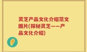 灵芝产品文化介绍范文图片(探秘灵芝——产品文化介绍)